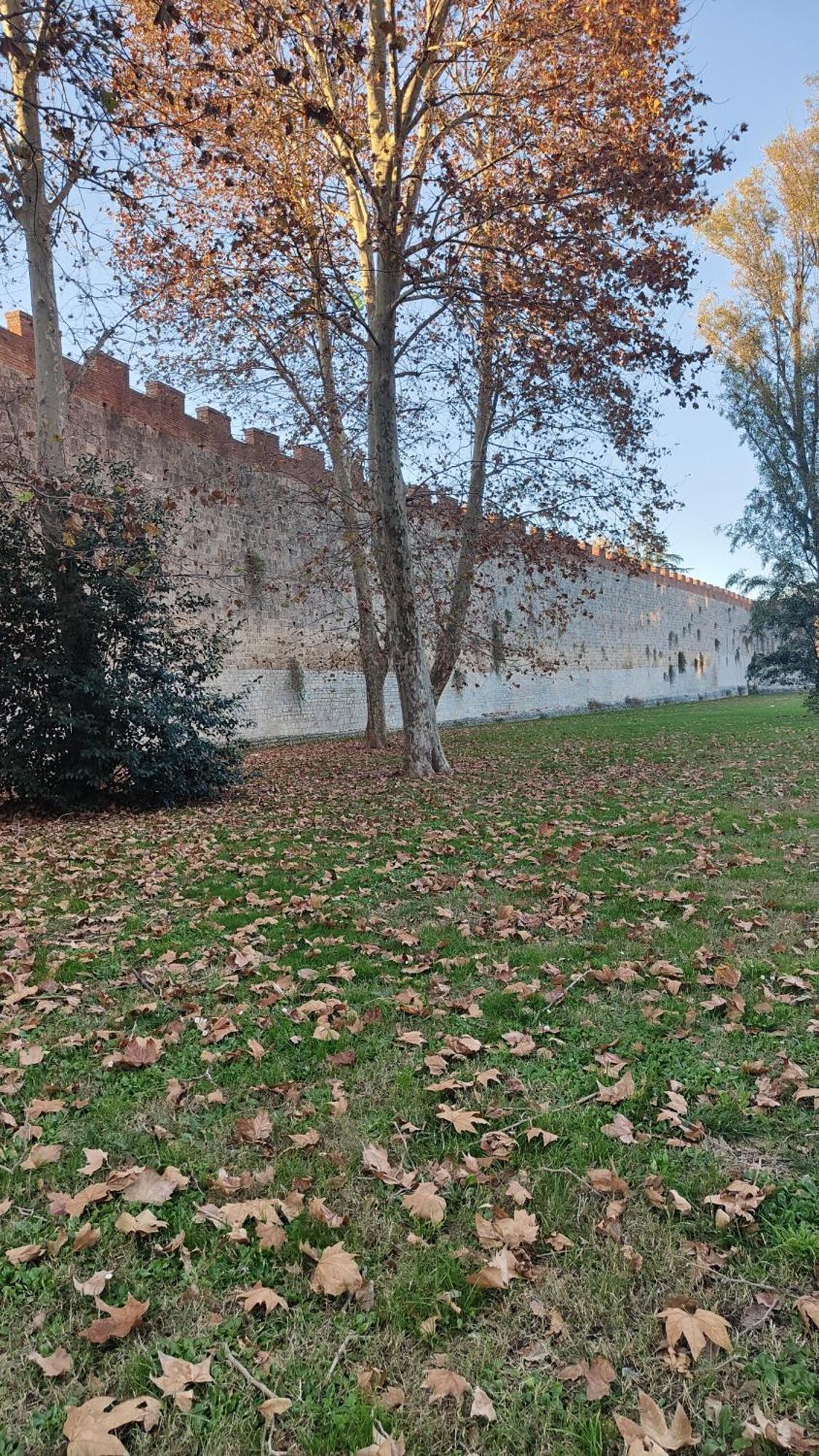 L'Angolo Di Galileo Пиза Экстерьер фото
